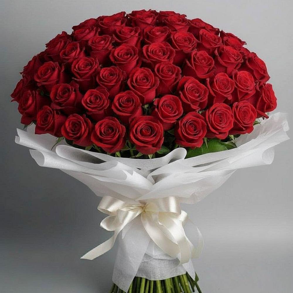 101 Красная роза Блэк Мэджик в Кузьмоловском Букет 101 Красная роза Блэк Мэджик в Кузьмоловском