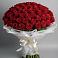 101 Красная роза Блэк Мэджик в Кузьмоловском Букет 101 Красная роза Блэк Мэджик в Кузьмоловском