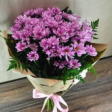 Букет цветов из:  Хризантемы #REPLACE_PRED# Кузьмоловском