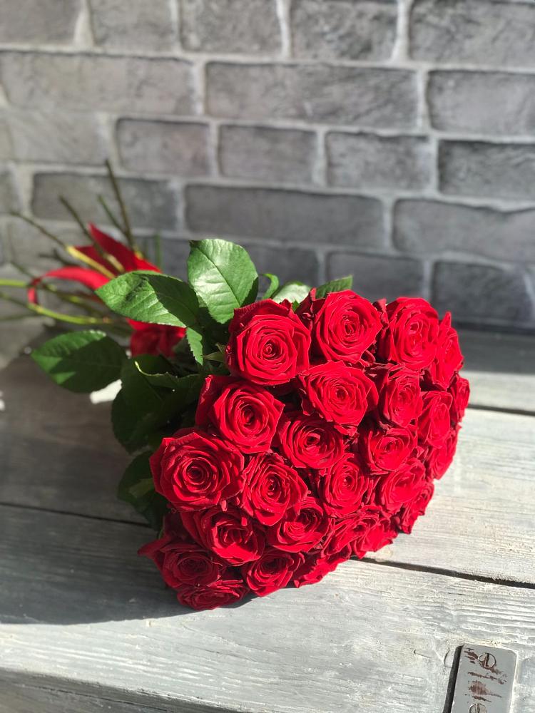 Красные розы Фридом в Кузьмоловском Букет Красные розы Фридом в Кузьмоловском