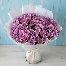 Букет цветов из:  Хризантемы в Кузьмоловском