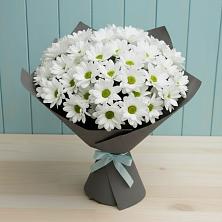 Букет белые хризантемы в Кузьмоловском Букет цветов из: Хризантемы в Кузьмоловском